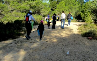 Segunda Limpieza Forestal – Bosque de la Canyada